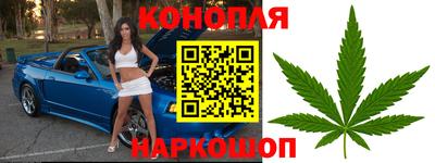таблы Кингисепп