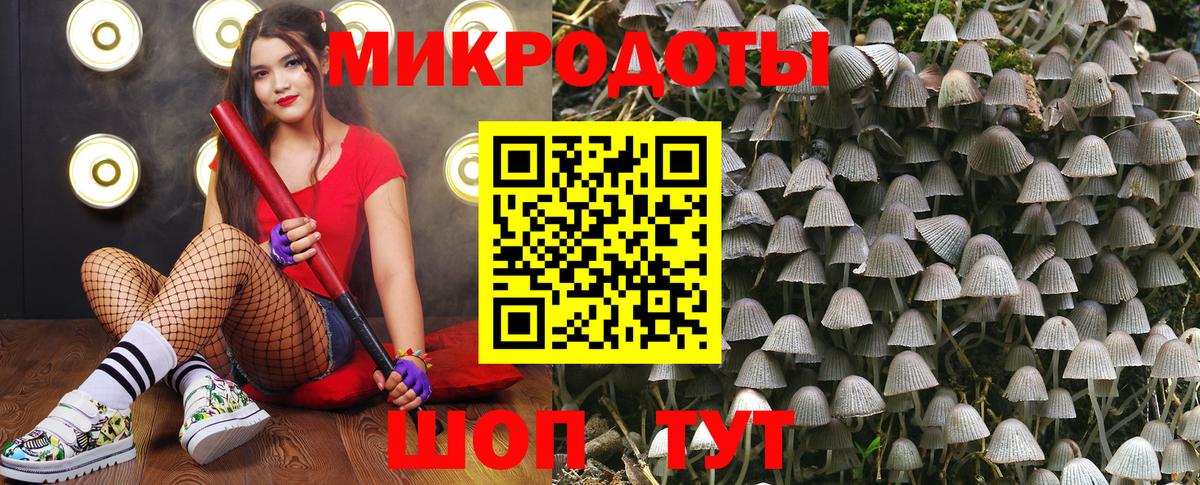 хочу   Вход с VPN  Чернушка  Галлюциногенные грибы GOLDEN TEACHER 